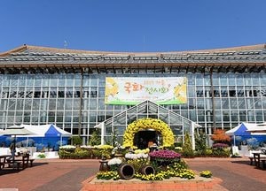 가을 정취 가득한‘국화 전시회’개최