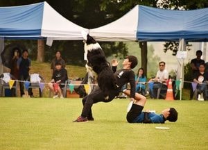 반려동물 문화 교실 ‘안산 금수저 대잔치’