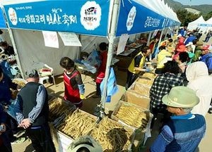 “강화 6년근 고려인삼을 소개합니다”