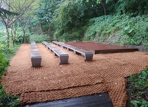 중구, 송월초 학교숲 명상숲으로 ‘재탄생’
