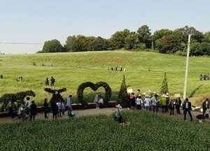 연수구, 메밀꽃밭 무료개방