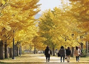 깊어가는 여주의 가을…