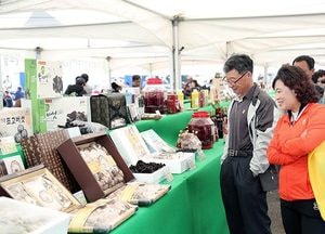 자라섬 우수 농산물 축제의 장 호평 속 마무리