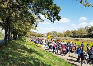 천변 걸으며 가을 만끽하고 건강 챙기고