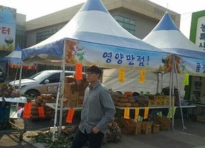 “강화 로컬푸드 풍년장터 오세요”