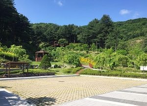 포천 하늘아래 치유의 숲’으로 힐링여행 떠나요!