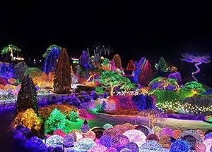 [그곳에 가면]아침고요수목원 빛 축제‘오색별빛 정원展’