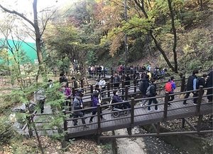 계양구, 산림욕장 무장애길 계양산성까지 연장
