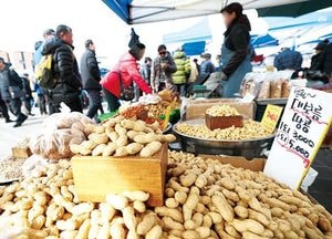 [포토]정월 대보름 앞두고 부럼 준비하는 시민들