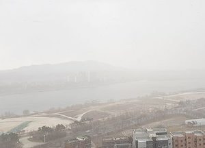 [포토]춘설(春雪), 내리다 그치다를 반복하는 알수 없는 날씨
