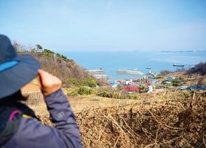안산, 봄 알리는 야생화 활짝 피어난 ‘풍도’...주말 관광객 붐벼 4월까지 상춘객 맞이