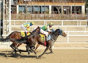 한국마사회, 코끝 차이 명승부, 스포츠동아배 ‘베스트불릿’ 우승