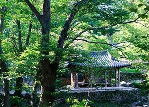 수목원, 한국의 정원展 18일~ 다음 달18일까지