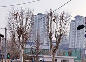미세먼지 없는 동구, 승용차 요일제 참여 시 자동차세 5% 감면