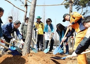 道, 포승산단 ‘숲’ 조성으로  미세먼지 잡는다