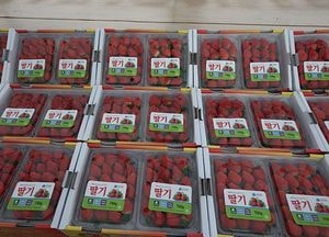 옹진군, 농축산물 포장용기 지원사업 추진…909농가 선정 4억7천여 원 투입
