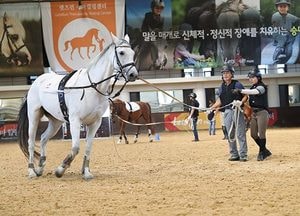 한국마사회, 말 산업 국가자격시험 응시 접수