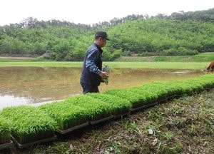 광주시, ‘벼 병해충 공동방제 약제’ 지원