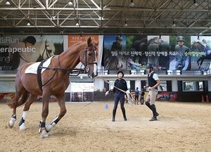 국내 말산업 인턴십 지원사업’ 시작…마사회 ,  24일~ 12월 21일까지 모집