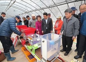 옹진군, 벼 병해충 예방 선제적 대응…육묘상자 처리제·파종 연시회 등 개최