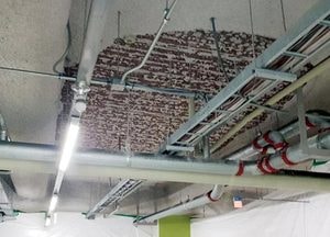홈플러스 주차장 천장 단열재 추락 사고…인천경제청, 안전점검 명령