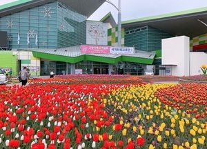 2019고양국제꽃박람회 26일 개막… 다음 달 12일까지 일산 호수공원서
