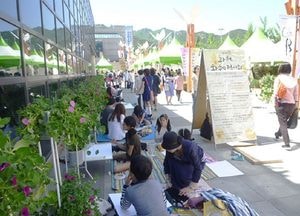 ‘과천화훼축제’ 15~19일 중앙공원서 개최