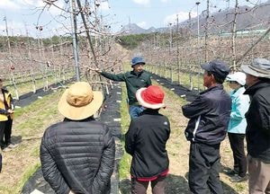 포천시농업기술센터, 찾아가는 사과교육 실시