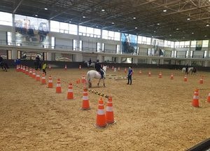 마사회,  가축 살처분 트라우마 馬로 힐링…사회공익 힐링승마 진행