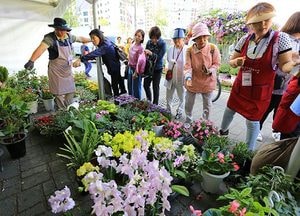 ‘과천화훼축제’ 관람객 발길 이어져…19일까지 개최