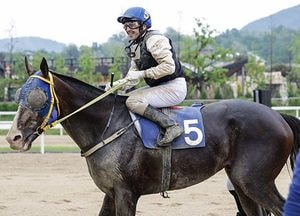 한국마사회 ‘스포츠경향배’, ‘선더라이트’ 우승