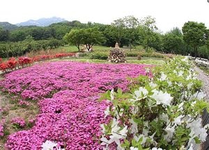 과천시, ‘야생화단지’ 오는 9월까지 재정비 공사