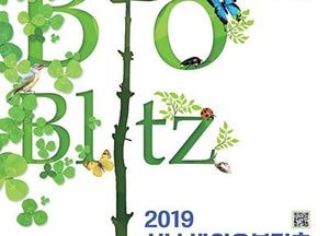 성남시, ‘바이오블리츠(BioBlitz) 행사’ 율동공원 생물 탐사 시민 220명 모집