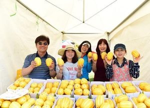여주 ‘금사참외축제’ 31일~6월 2일 개최