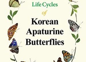 국립수목원, 나비계의 황제 오색나비들의 숨겨진 생활사 발간