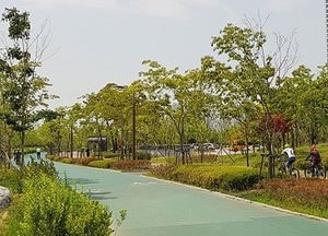 [포토]햇빛 아래서 라이딩 즐기는 시민들