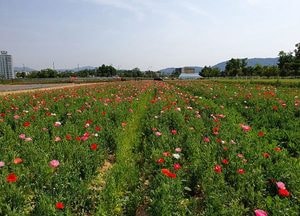 양주시 ‘나리농원’에서 힐링과 함께 소중한 추억을 담아가세요