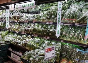 용인시, 롯데마트에 GAP 인증 로컬 농산물 공급