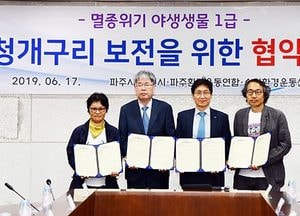 수원시·파주시·수원환경운동센터·파주환경운동연합, 수원청개구리 보전 협약 체결