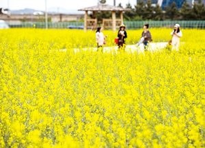 ‘물·나무·꽃’ 녹색도시로 인천계양구 가치 높인다