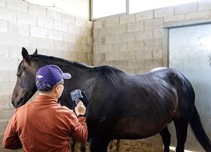 한국마사회, 오는 9월까지 ‘경주마 등록 전수조사’