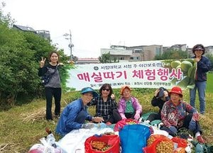 서정대학교 서정 주·야간보호센터, 어르신 대상 매실따기 체험 행사 가져