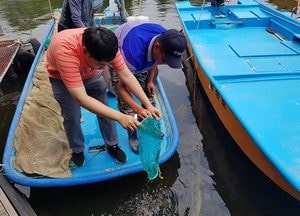 양평군, 내수면 수산자원 육성과 어업인 소득증대 위해 참게 치어 방류