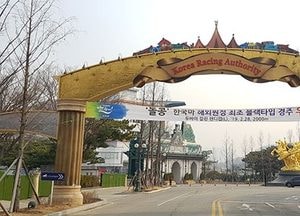 한국마사회, 말산업 위탁연구과제 용역 입찰 제안서 접수