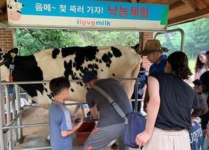 경기도수원교육지원청 “토닥토닥 행복한 마음여행” 가족캠프 실시