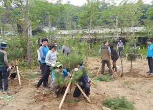 연천군, 신중년 맞춤형 직업능력 교육 성과 커…조경기능사 국가자격시험 83% 합격