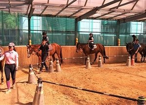 이천시, 학생 승마체험 지원사업 대상자 모집