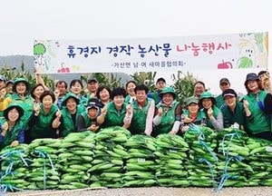 포천시 새마을지도자 회원들 "수확한 옥수수 각 마을 노인정 전달"