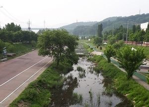 목감천·신천, ‘국가하천 승격’‥ 도비 2859억 절감 기대