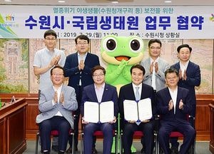 수원시, 수원청개구리 복원서식지 조성한다